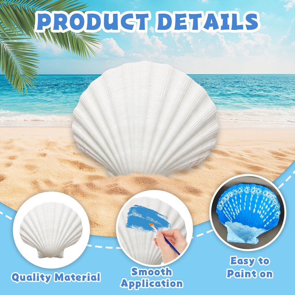 10PCS Large Natural Scallop Shells