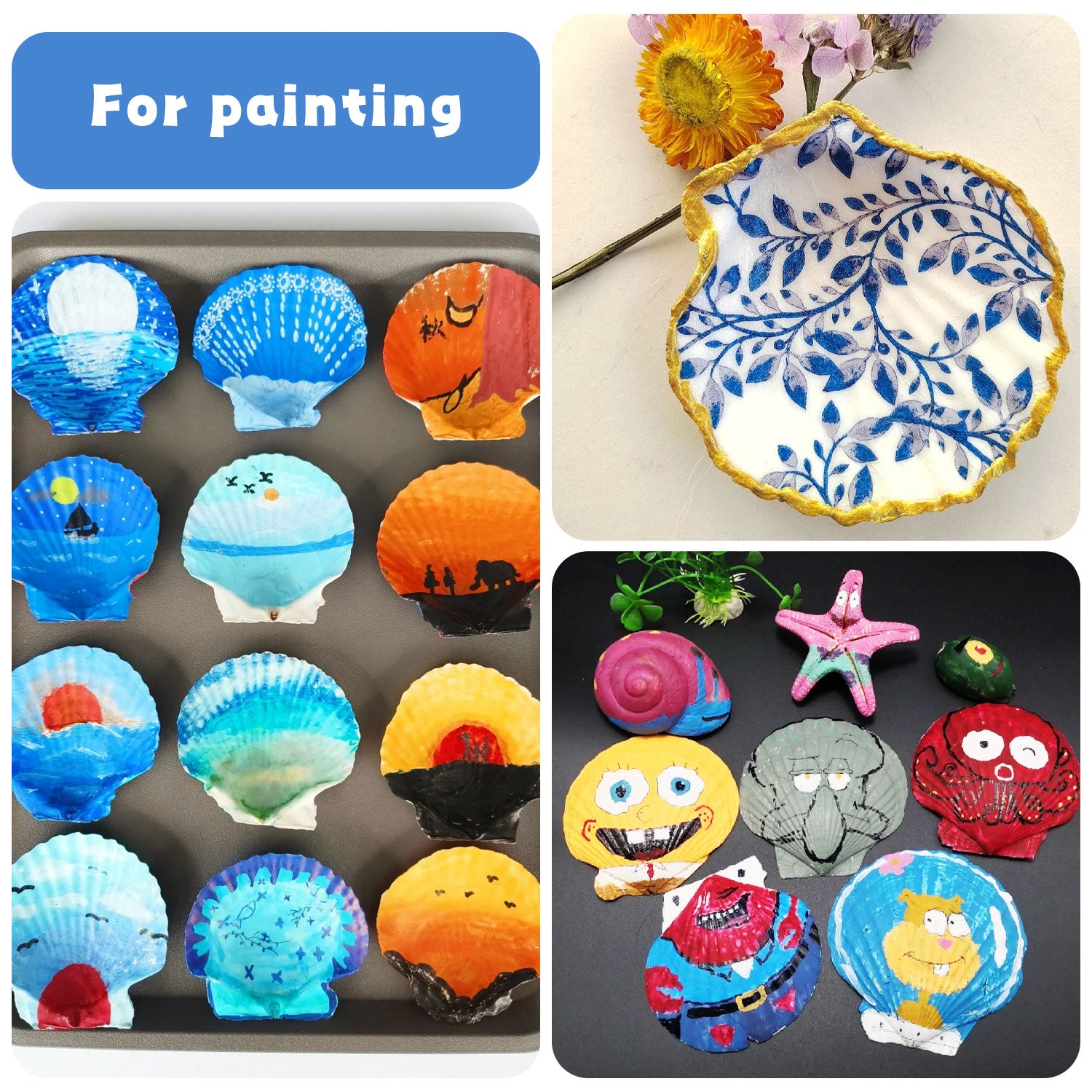 30 Pcs Natural Scallop Shells 2-3 inch