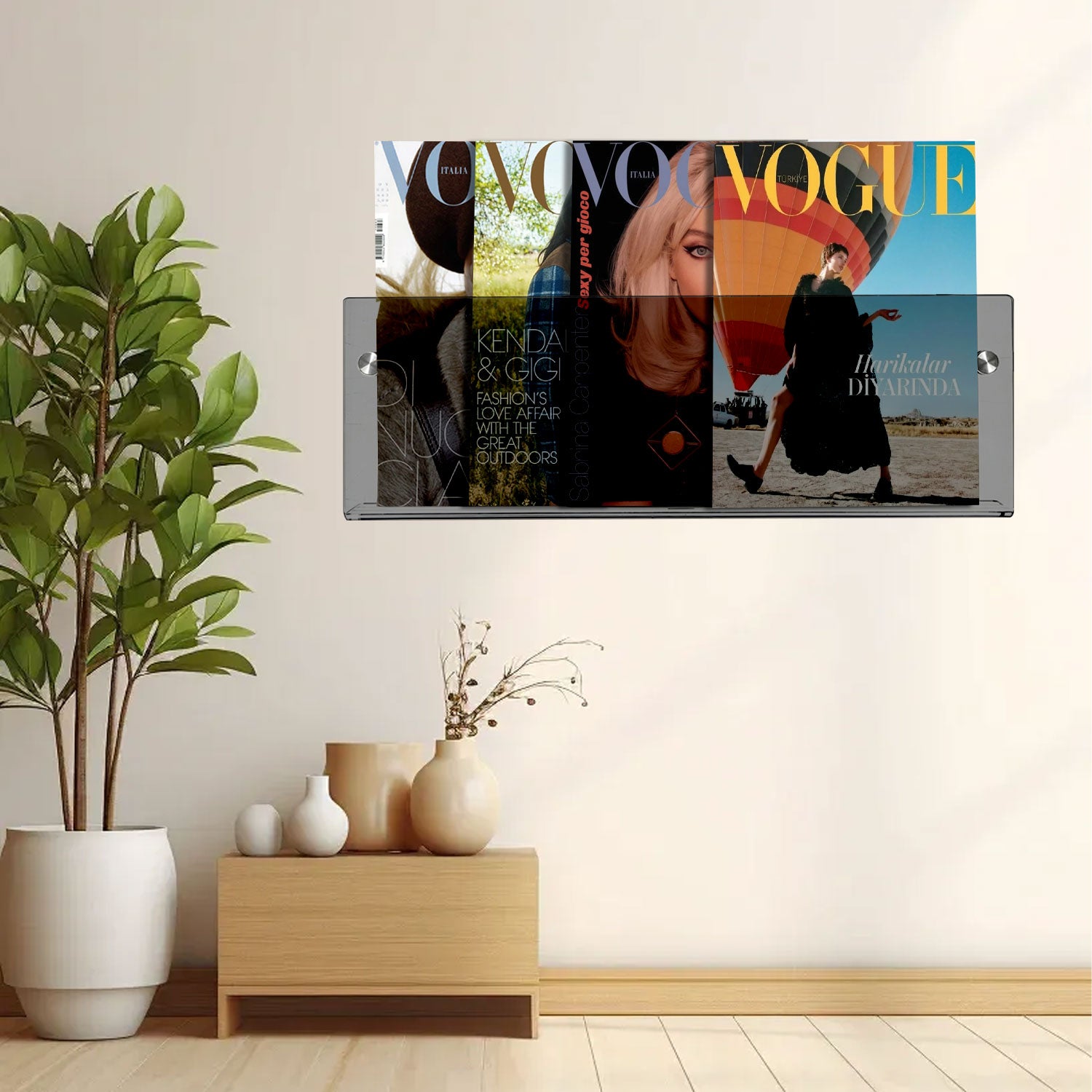 2 Pack Acrylic Magazine Holder