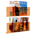 2 Pack Acrylic Magazine Holder