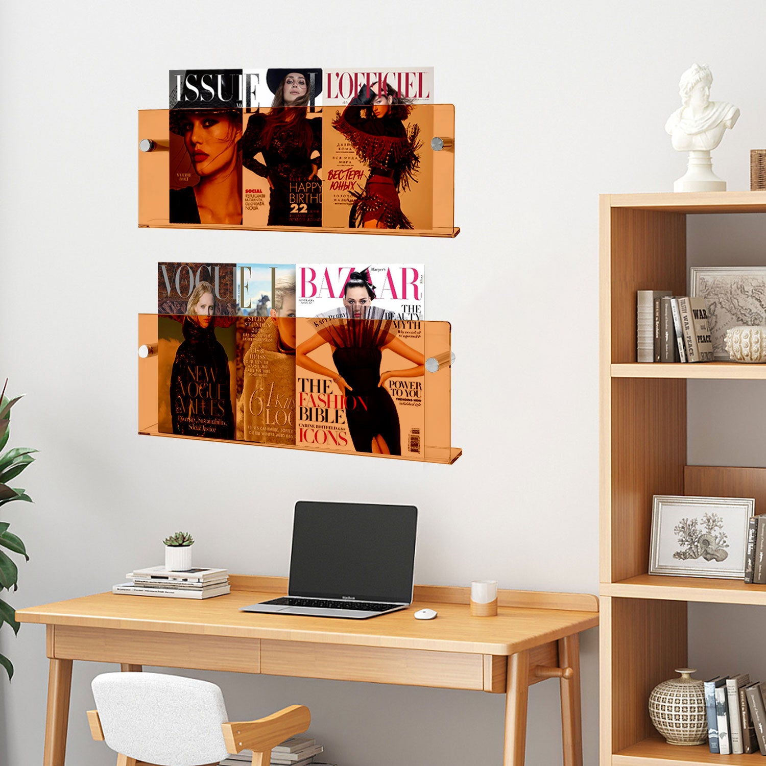 2 Pack Acrylic Magazine Holder