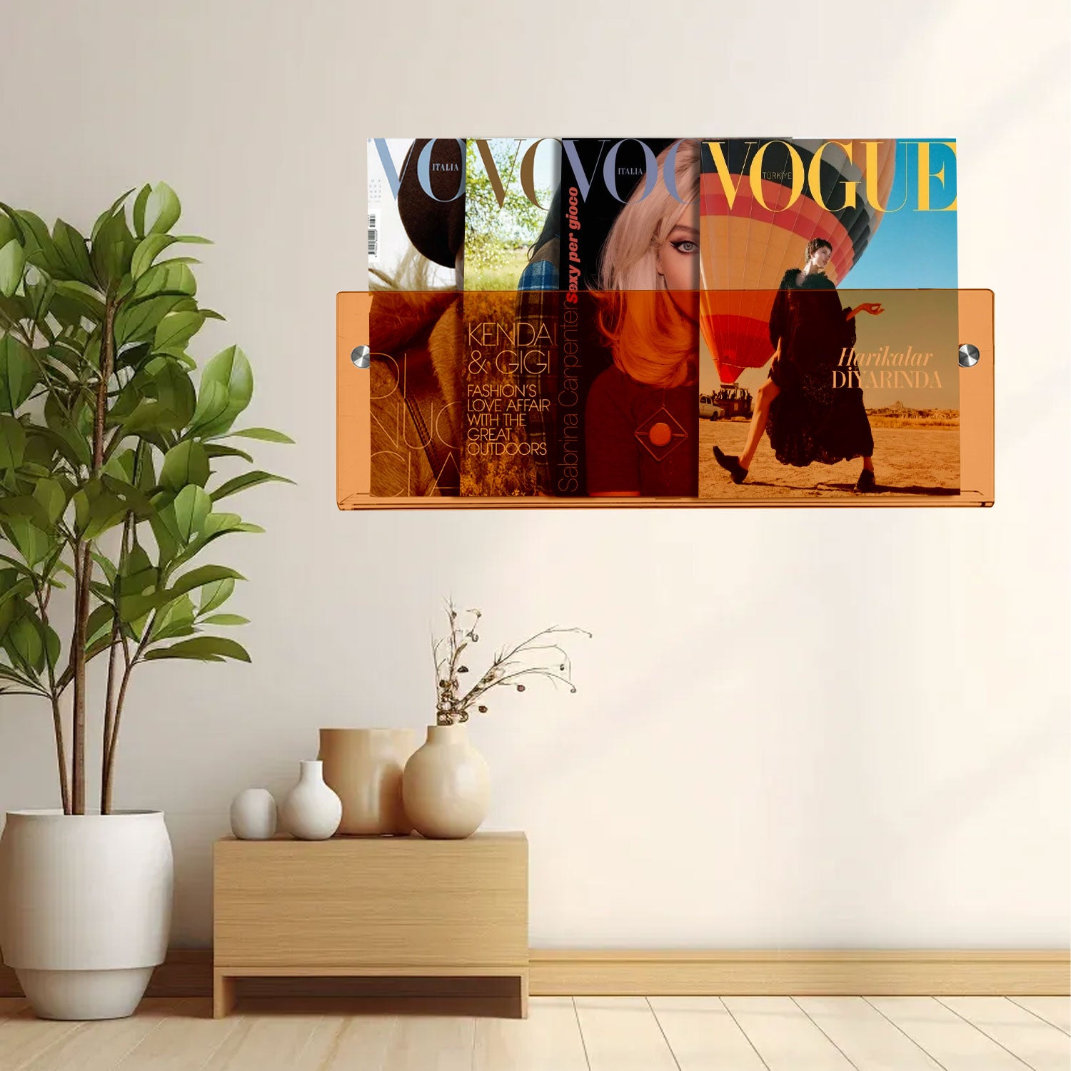 2 Pack Acrylic Magazine Holder